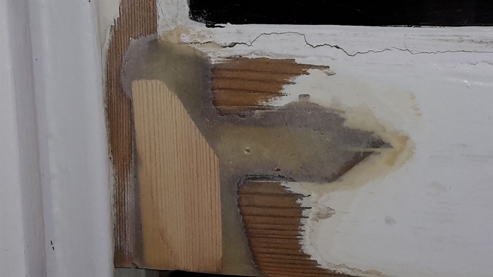 Timber and resin in place.