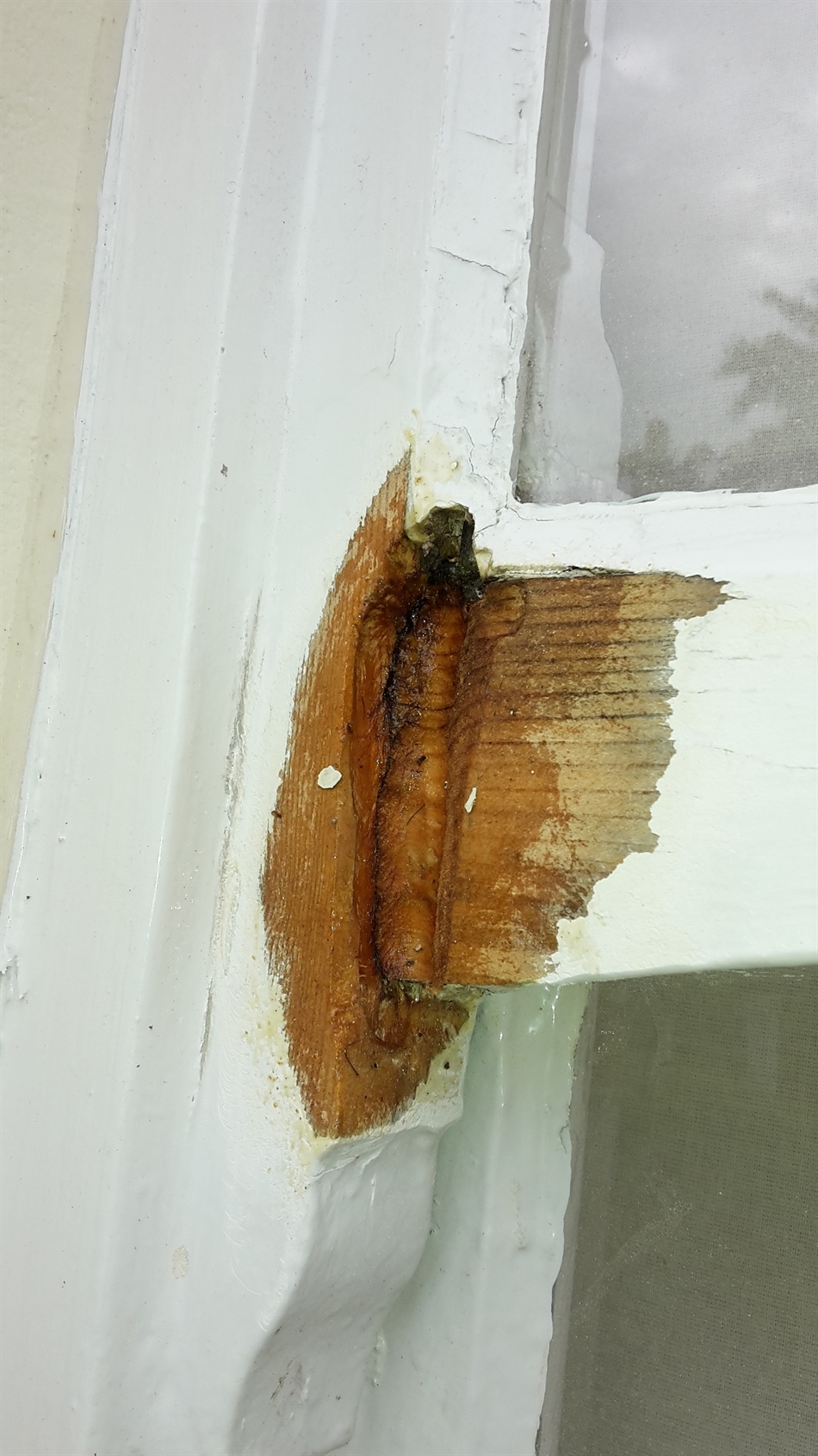 A preservation joint repair under way.