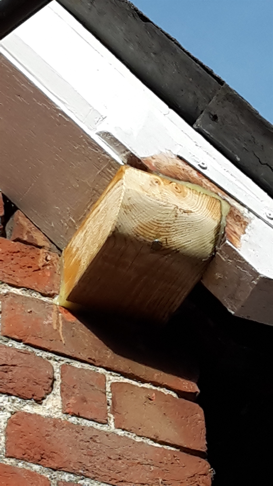 New rafter end on barn.