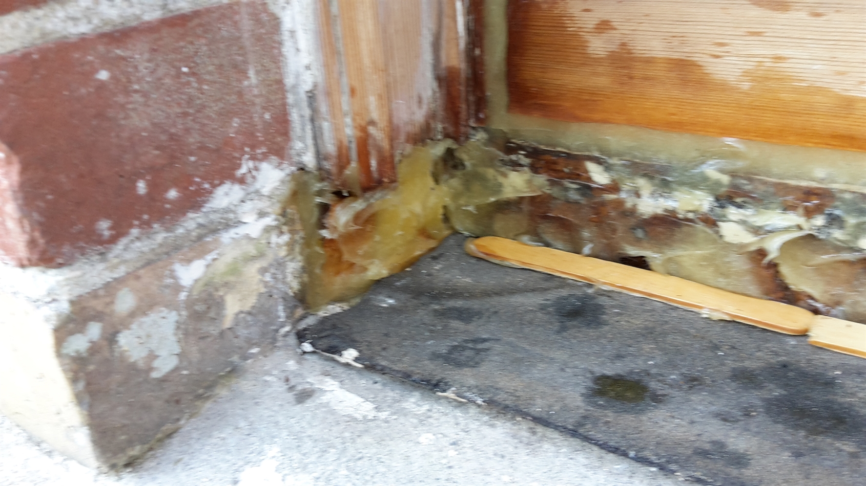 Another after box repair buttered up ready for new sill. Sticks in back to give new sill a forward tilt.  As previous job had non and so water sat on the sills.