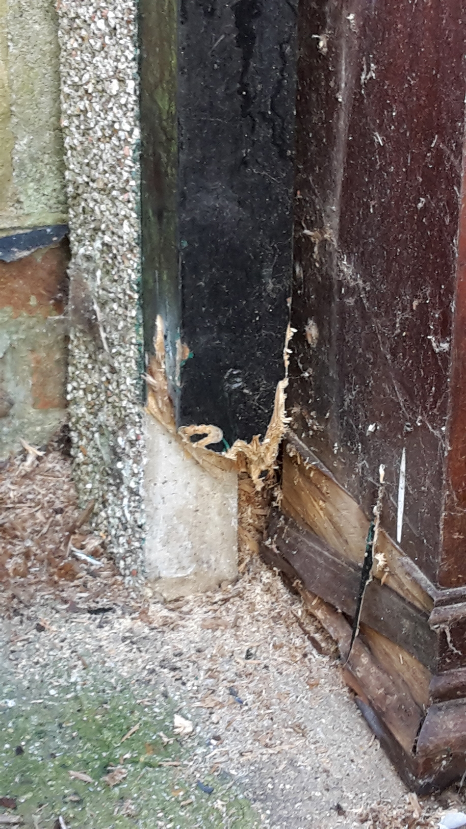 Main door lifted off hinge. hinge removed to cut out rot from post.
