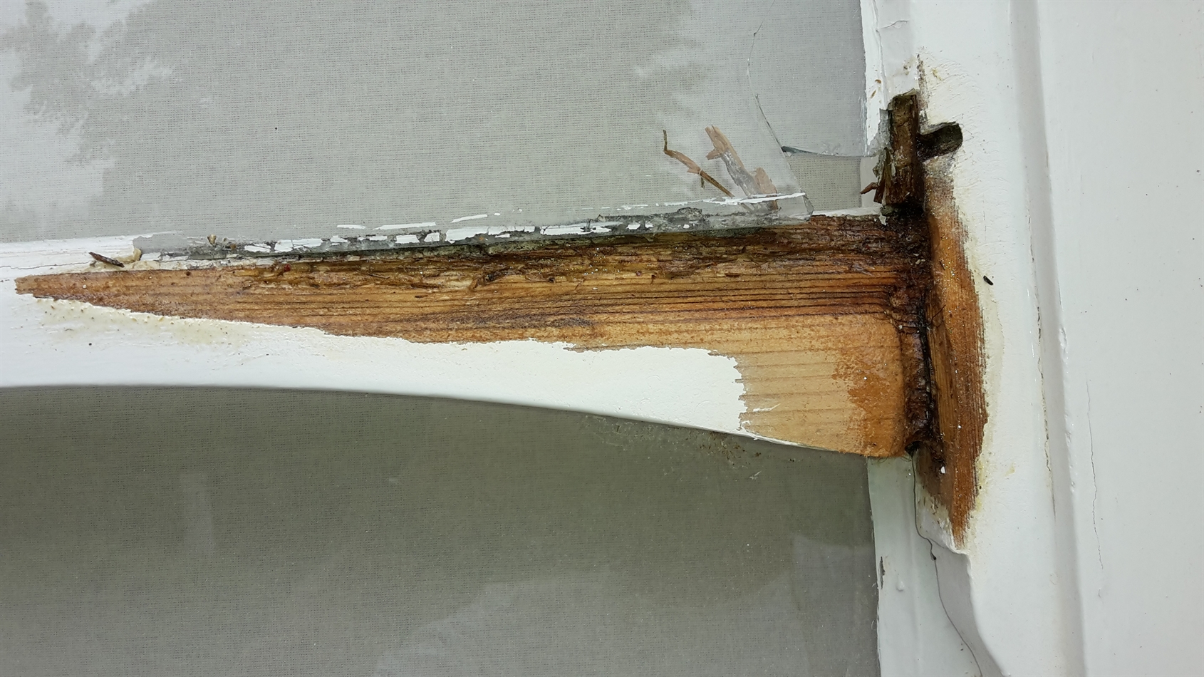 Glass brock whilst atempting to cut rot out. It was repalced after repair.