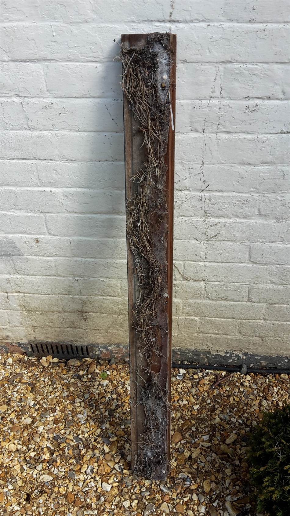 This was the sill bottom when removed.
