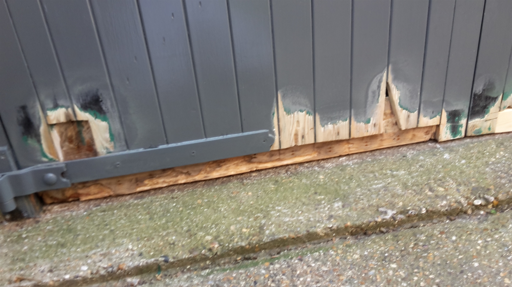 Rot cut out repair for repair.