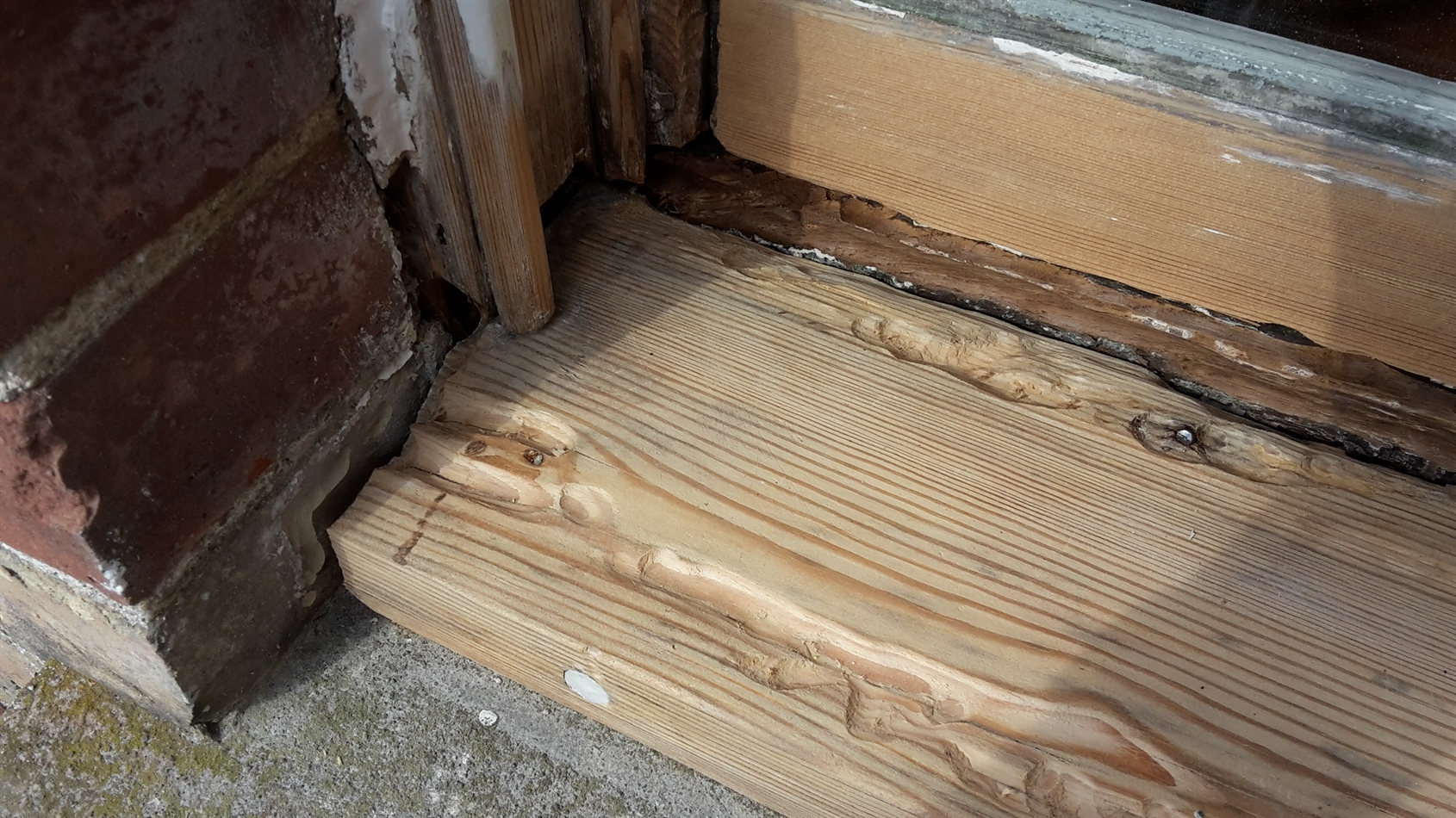 Rot removed ready to apply dryfix.