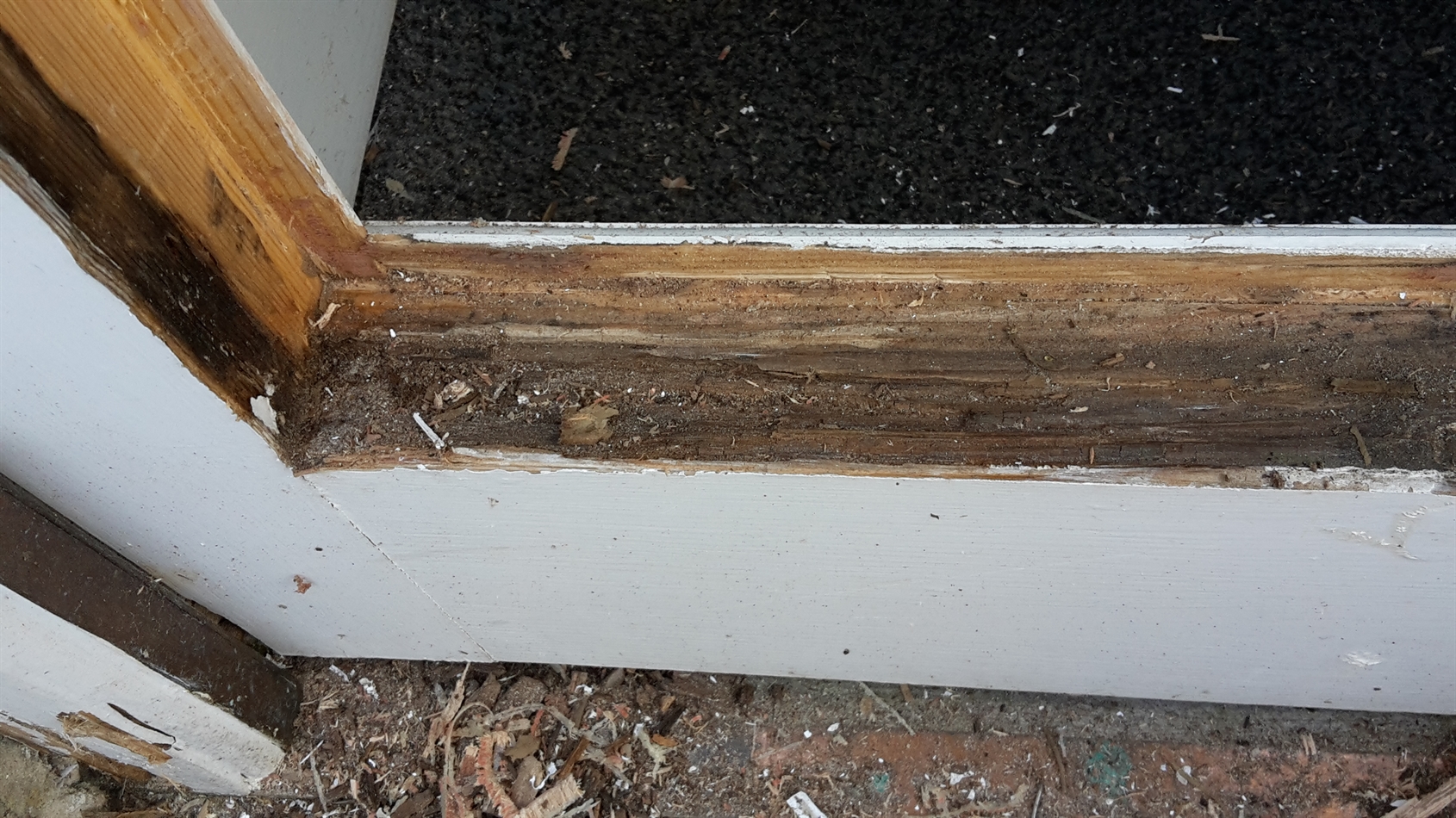 Panel removed and rot taken out bottom bar.
